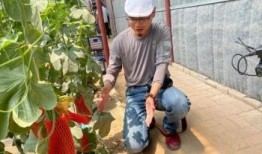 网红打卡吃瓜,揭秘美食背后的故事