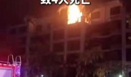 郑州爆料视频大全,一网打尽城市热点瞬间