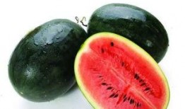 17cc吃瓜网 免费吃瓜,免费畅享海量瓜果，轻松解锁娱乐圈最新动态